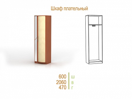 Шкаф плательный Кристина-3